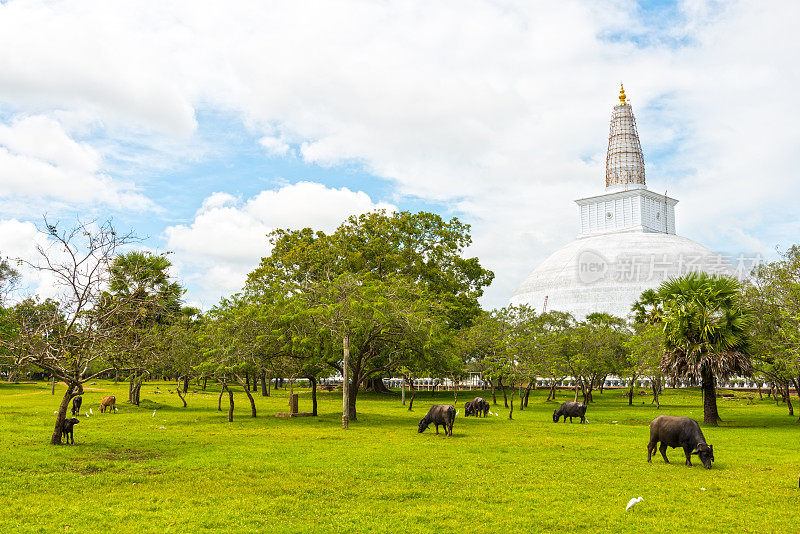 阿努拉达普拉的Ruvanvelisaya Dagoba